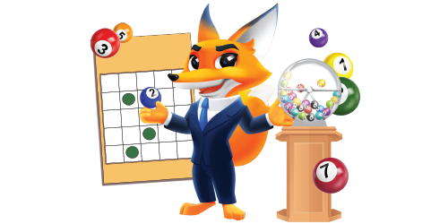 Type - Bingo